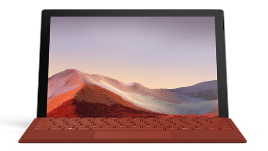 绥宁Surface Go